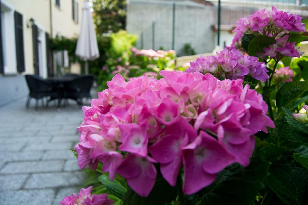 Giardino Delle Ortensie Cannobio Zewnętrze zdjęcie